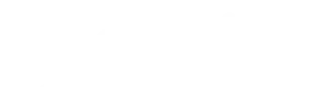 DIGITA ITALIA S.R.L.